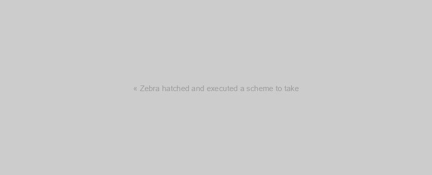 « Zebra hatched and executed a scheme to take